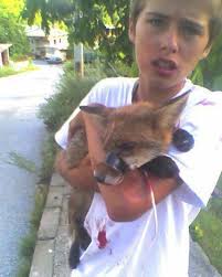 Brave Teen Rescues Fox from Abuse, Continues Animal Rescue Efforts
