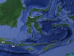 Reddoorz syariah @ hotel wisma indonesia kendari is offering accommodation in kendari. Powerful Earthquake Triggers Tsunami In Sulawesi Indonesia Surfline