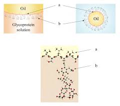 Designing Glycoprotein Films and Micelles to Capture and Remove Pathogens  from Aqueous Suspensions