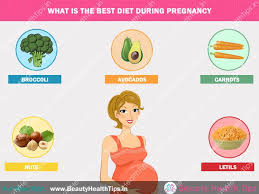 Hacks to keep flies away. Best Foods Of Pregnancy Diet For Pregnant Women