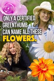 Think you know a lot about halloween? Quiz Only A Certified Greenthumb Can Name All These Flowers Can You Quiz Interesting Quizzes Trivia Quizzes