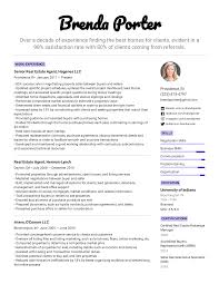 real estate agent resume example