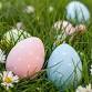 Easter Egg Hunt on Goat Island