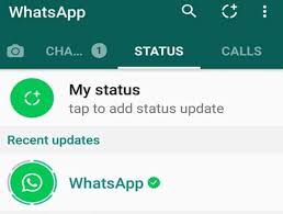 The second is the secretary of state for each individual state, which operates at the state level. How To Download Whatsapp Status Without Seeing