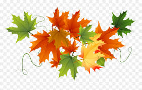 Hd fall cemetery stock video. Transparent Canadian Leaf Png Transparent Background Autumn Leaves Clipart Png Download Vhv