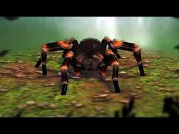 For boys and girls, kids and adults, teenagers and toddlers, preschoolers and older kids at school. Real Scary Spiders By Discovery Communications Android Ios Gameplay Youtube