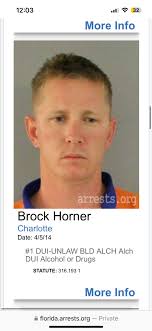 Florida Man's Controversial Behavior