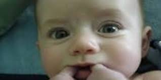 Reader photo grab bag