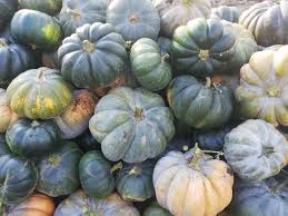 Check spelling or type a new query. Ich Werde Kurbisse In Grossen Mengen Verkaufen Muscat