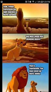 Pin By Nicole Liening On Bahaha Funny Memes Lion King Meme Funny Pictures