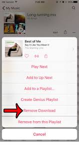 Downloading lots of songs or albums from the apple music catalog can use up a lot of local storage on your device. How To Delete A Downloaded Song In Apple Music Solve Your Tech