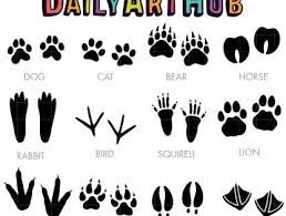 Animal Tracks Clip Art Set Daily Art Hub Free Clip Art Everyday Animal Tracks Clip Art Animal Footprints