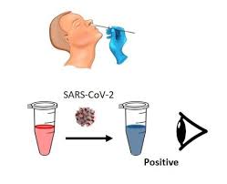 Cdc.gov has been visited by 10k+ users in the past month Ny Test Til Hurtig Sporing Af Corona