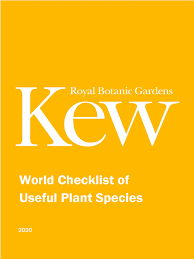 Image result for Heteranthoecia  guineensis