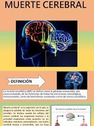 Se requieren varias pruebas de esa irreversibilidad. Muerte Cerebral Pptx Cerebro Carrera