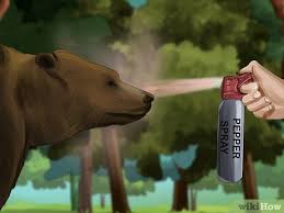Maybe you would like to learn more about one of these? 4 Ways To Keep Bears Away Wikihow