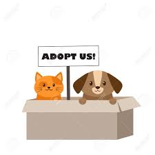 Applies to pairs of dogs over six months old, cats and kittens at the best friends lifesaving center! Adopt Pet Banner Cute Homeless Puppy And Kitten Inside A Cardboard Royalty Free Cliparts Vectors And Stock Illustration Image 141605584
