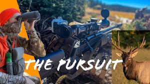 First Elk! 369 Yards, 6.5 Prc : R/Longrange