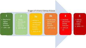 The kidneys serve many functions. Five Stages Of Chronic Kidney Disease Based On The Estimated Glomerular Download Scientific Diagram