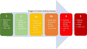 Bethesda, md, national institutes of health, national institute of diabetes and digestive and kidney diseases, 2002. Five Stages Of Chronic Kidney Disease Based On The Estimated Glomerular Download Scientific Diagram