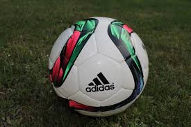 Fc nürnberg verpflichtet alois schwartz vom sv sandhausen. Sandhausen Michael Schiele Ist Neuer Trainer Beim Sv Sandhausen Metropolregion Rhein Neckar News Events