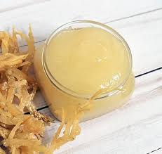 Like land vegetation, phytoplankton uses carbon dioxide, releases oxygen, and converts minerals to a form animals can use. Can You Freeze Sea Moss Gel Freezing Sea Moss Gel Hello Lidy