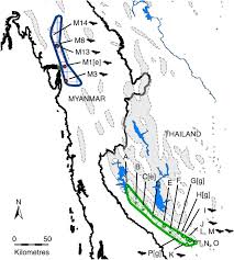 Maybe you would like to learn more about one of these? The Evolution Of Sensory Divergence In The Context Of Limited Gene Flow In The Bumblebee Bat Nature Communications