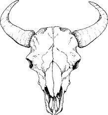 Girls will love the princess dot to dot sheet. Buffalo Skull Drawings Sketch Template Skulls Drawing Skull Drawing Sketches Bull Skull Tattoos