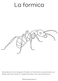 Disegni Di Animali Che Vanno In Letargo Da Colorare Disegnare Animali Animali Disegni