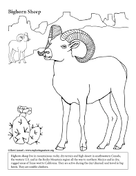 Maybe you would like to learn more about one of these? Desert Bighorn Sheep Coloring Page