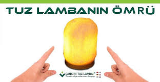 Tuz Lambasinin Omru Cankiri Tuz Lamba