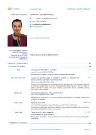 Puteti scrie aici daca detineti carnet de conducere: Cv Europass Flylevel