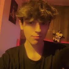 Multiple police raids have smashed the gangs.