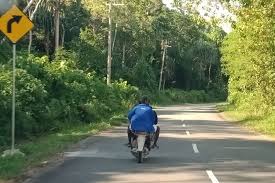 Последние твиты от trans surabaya (@transsurabaya). Meski Ada Gangguan Keamanan Trase Trans Papua Tak Direlokasi Halaman All Kompas Com