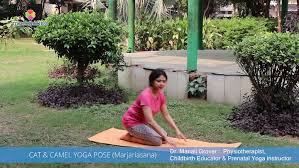 But if a woman has any health complications or she has never trained before, she should do it very carefully to avoid harming herself. Yoga Poses Exercises Cat Camel Mychildfirst