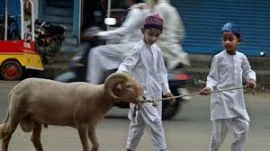 Hari raya aidilfitri merupakan perayaan yang disambut oleh umat islam di seluruh dunia tidak kira bangsa sama ada arab, inggeris, melayu. Ternyata Begini Rasanya Idul Adha Di Mesir Itu Surya