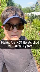 Plants take 3 years to put out a healthy root system. Until then check your  plants during hot and dry periods for signs of water stress. You may need  to supplemental water your young plants. , I can’t ...