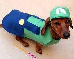 Pets Pet Costumes Dog Costume Dog Costumes