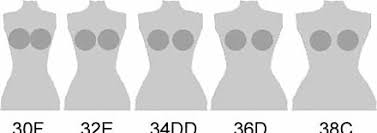 We did not find results for: Bra Size Wikiwand
