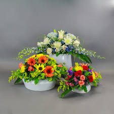 Flower Arrangements Davie Funeral Flower Arrangements Boca Raton Flower Deliveries Palmetto Bay Field Of Flowers