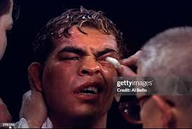 146 Taj Robinson Stock Photos, High-Res Pictures, and Images