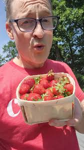 Fresh strawberries available in October