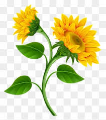Free Free 202 Sunflower Corner Border Svg SVG PNG EPS DXF File