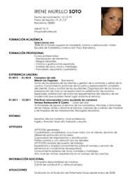 Cómo estructurar tu curriculum vitae. Modelo De Cv En Espanol Sablon