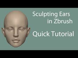 How to sculpt ears in Zbrush- quick tutorial