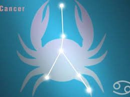 With their emotions being projected well through their eyes and skin. Zodiac Signs Who Are Mostly Successful In Life The Times Of India
