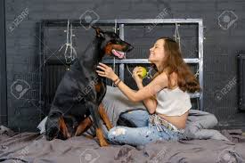 Du kannst dir noch so viel mühe mit der gestaltung des hundekörbchens geben und trotzdem gräbt dein hund alles wieder um. Junge Hubsche Frau Mit Schwarzem Dobermann Hund Im Bett Lizenzfreie Fotos Bilder Und Stock Fotografie Image 74041584