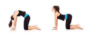 How To Activate Your Core Abs Workout For Women Abs Workout Best Core Workouts