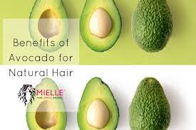Botanical garden beauty mediterranean avocado oil. Benefits Of Avocado For Natural Hair Mielle