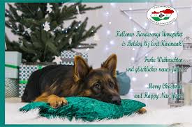 Austragung dieses weltweiten fußballwettbewerbs für vereinsmannschaften sein. Wusv Wm 2020 Gyor Home Facebook